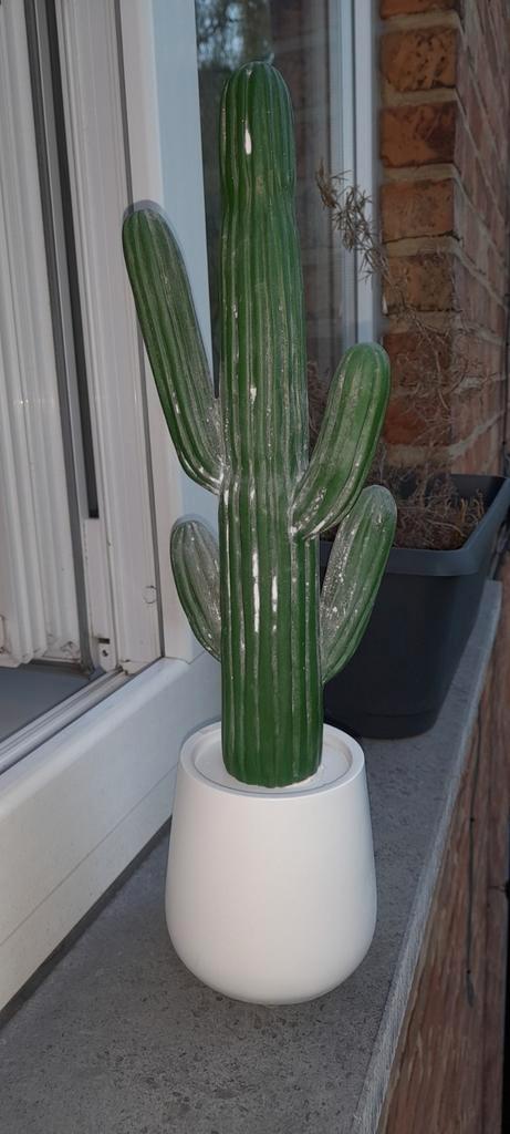 Cactus décoration d'intérieur 41cm new à saisir ️️️️️️️️️️↙️, Huis en Inrichting, Woonaccessoires | Kunstplanten en Kunstbloemen