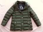 Tommy Hilfiger winterjas ( maat L ), Kleding | Dames, Jassen | Winter, Tommy hilfiger, Ophalen of Verzenden, Nieuw, Groen