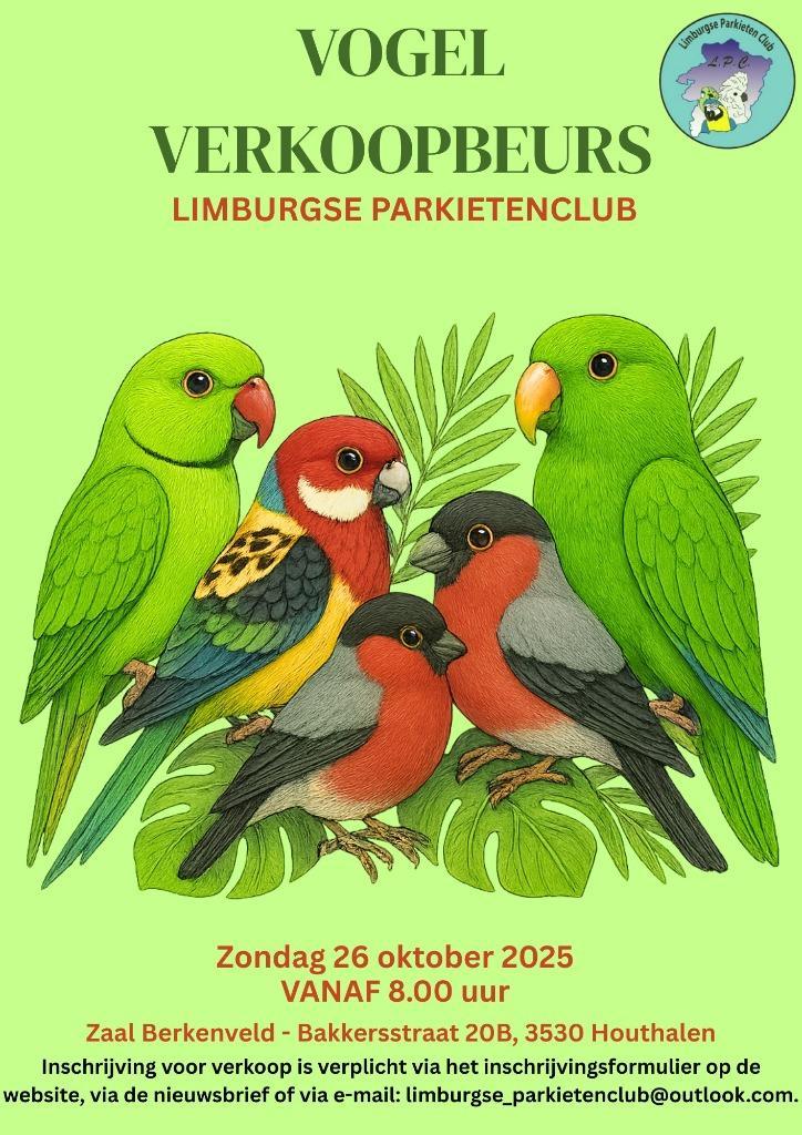 vogel verkoop beurs 26 oktober 2025, Dieren en Toebehoren, Vogels | Parkieten en Papegaaien