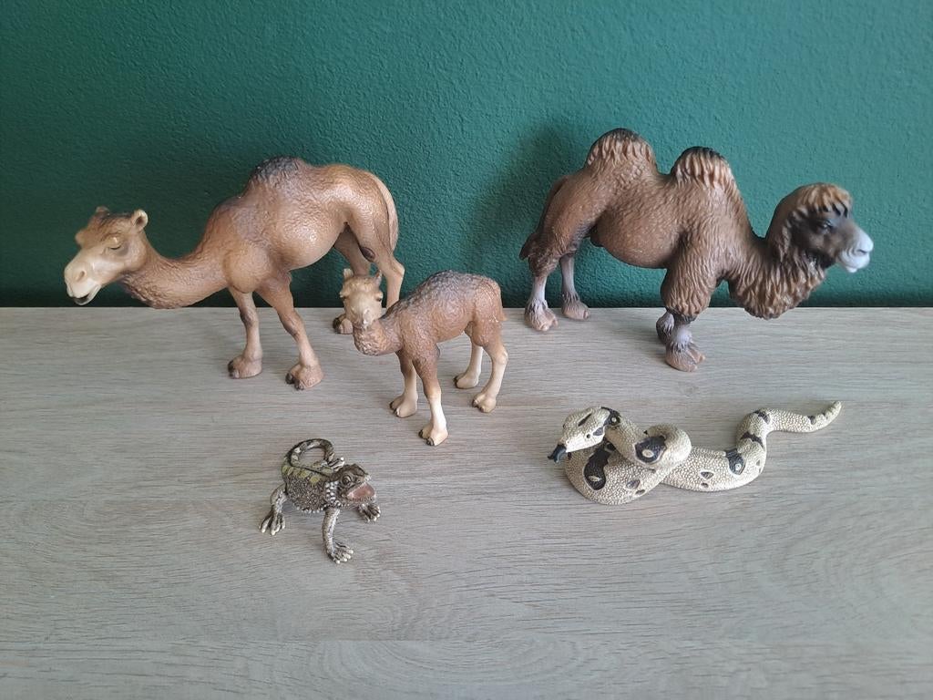 Schleich Dromedaris Kameel Boa Bartagaan, Ophalen