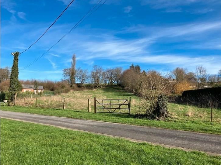 Terrain 4290m², Immo, Terrains & Terrains à bâtir, 1500 m² ou plus