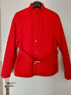 Rode jas maat 46, Ophalen of Verzenden, Zo goed als nieuw, Rood, Maat 46/48 (XL) of groter