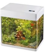 Superfish panorama 50 led wit met 2 sluierstaart vissen, Enlèvement, Utilisé