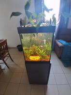 Aquarium 240l  127h 41b 121l glas 53 op41, Animaux & Accessoires, Poissons | Aquariums & Accessoires, Enlèvement