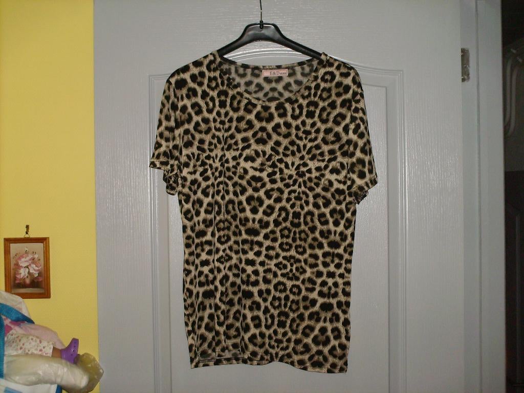 a vendre blouse tunique pour dame, Kleding | Dames, Blouses en Tunieken, Ophalen of Verzenden, Zo goed als nieuw, Maat 46/48 (XL) of groter