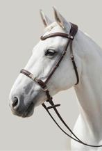 Bitloos hoofdstel AMIKO, Dieren en Toebehoren, Ophalen, Zo goed als nieuw