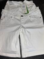 Nieuwe short Zwangerschap, queen Mum maat 27, Wit, Nieuw, Ophalen of Verzenden, Maat 36 (S)