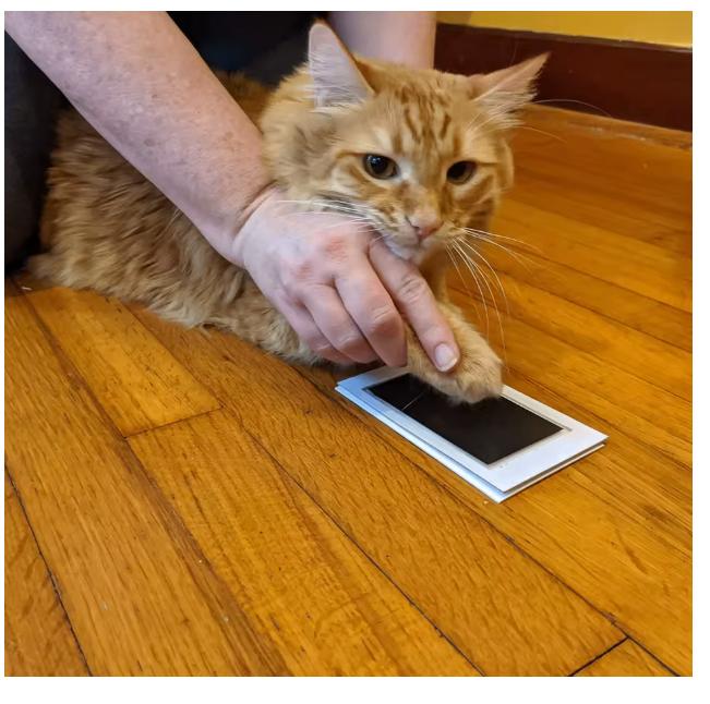 Setje voor poot afdruk, Ophalen of Verzenden, Nieuw