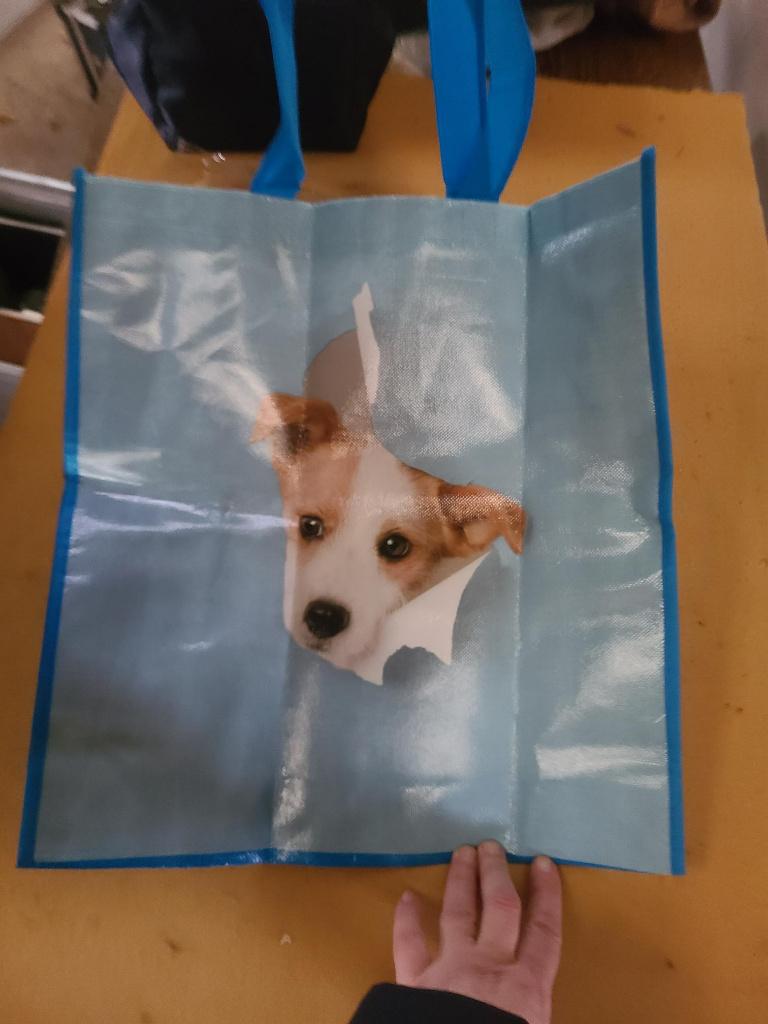 shopper, Bijoux, Sacs & Beauté, Sacs | Sacs Femme, Enlèvement ou Envoi, Neuf, Shopper