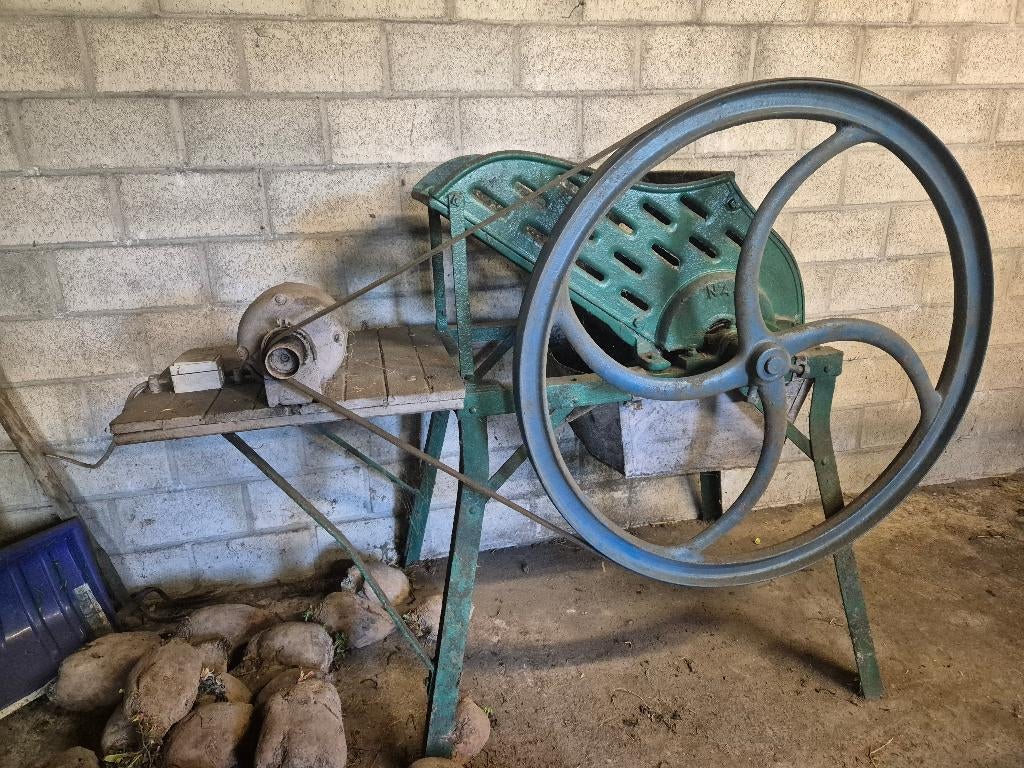 Bietenmolen, Dieren en Toebehoren, Runderen