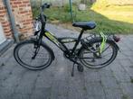 Kinderfiets, Fietsen en Brommers, Ophalen, Gebruikt, Golden Lion Rock