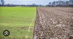 Gezocht landbouwgrond, Articles professionnels, Agriculture | Immobilier agricole, Enlèvement ou Envoi
