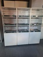 Kanaries kweekkooien, Dieren en Toebehoren