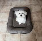 Hondenmat/mand Jack & Vanilla, taupe, Enlèvement, Comme neuf