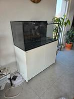 Uitrusting voor rifaquariums, Dieren en Toebehoren, Ophalen