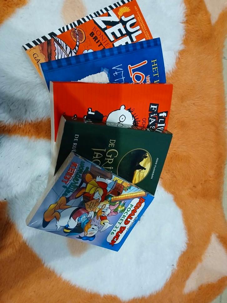 plusieurs livres populaires !, Hobby & Loisirs créatifs, Jeux de société | Jeux de cartes, Comme neuf, Enlèvement