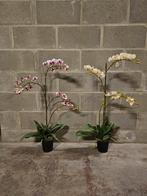 2 grandes Orchidées artificielles dans leur pot, Maison & Meubles, Accessoires pour la Maison | Plantes & Fleurs artificielles
