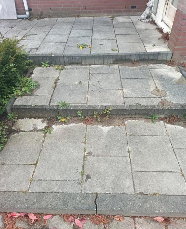 Jardinier assidu offert, Offres d'emploi, Emplois | Agriculture, Nature & Environnement