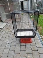 Vogelkooi, Dieren en Toebehoren, Ophalen, Vogelkooi