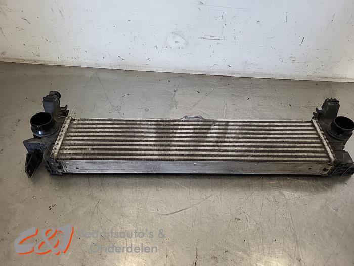 Intercooler d'un Mercedes Vito, Autos : Pièces & Accessoires, Climatisation & Chauffage, Mercedes-Benz, Utilisé, 3 mois de garantie