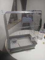 Vogelkooi, Enlèvement, Cage à oiseaux