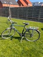 Herenfiets, Vitesses, 65 cm ou plus, Batavus, Enlèvement