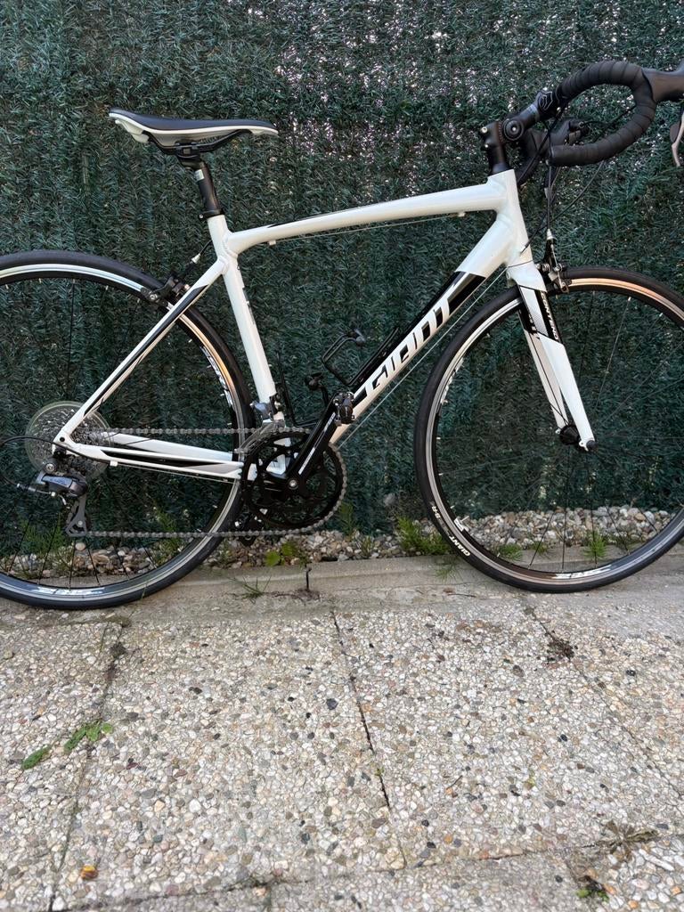 Koersfiets Giant Contend, Ophalen, 28 inch, Velgrem, Aluminium