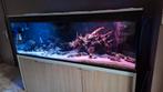 Aquarium complet à vendre en parfait état ! Années 200/70/70, Enlèvement, Comme neuf, Aquarium d'eau douce rempli