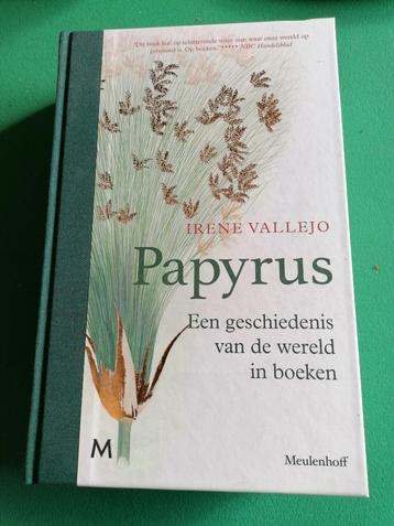 Papyrus beschikbaar voor biedingen