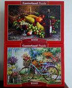 Lot 2 puzzels -1000 st.,volledig kompleet  zgan, Ophalen of Verzenden, Zo goed als nieuw