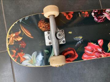 skateboard, Enlèvement, Skateboard