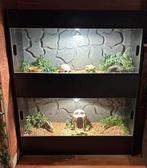 Luxe Dubbel Terrarium 125x150, Dieren en Toebehoren, Ophalen, Verlichting