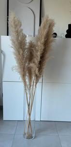 Vase cylinder ikea avec pampas, Ophalen of Verzenden, Zo goed als nieuw