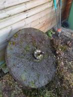 Molensteen(loper), Jardin & Terrasse, Parasols, Enlèvement