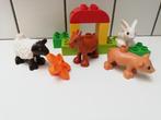 duplo 10522 boerderij dieren en 30218 slak, Ophalen of Verzenden, Complete set, Duplo
