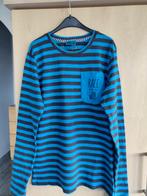 Tshirt CKS.  maat 170-176. Jongen., Enlèvement ou Envoi, Autres couleurs, Comme neuf, Autres tailles