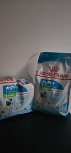 Royal Canin Puppy, Animaux & Accessoires, Enlèvement