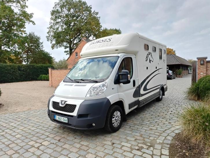 Peugeot Boxer 2.2 HDi L2 EquiTrec Sonic 2 paards B-rijbewijs, Dieren en Toebehoren, Paarden en Pony's | Trailers en Aanhangwagens