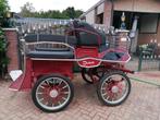 Maratonwagen/Men Wagen, Dieren en Toebehoren, Zo goed als nieuw, Marathonwagen, Paard