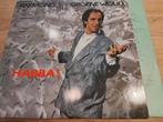 Lp Raymond van het Groenewoud, Cd's en Dvd's, Vinyl | Nederlandstalig, Ophalen of Verzenden, Gebruikt, 12 inch, Pop