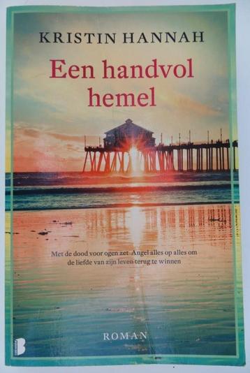 Kristin Hannah Een handvol hemel roman  beschikbaar voor biedingen