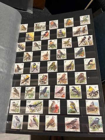 Postzegels  beschikbaar voor biedingen