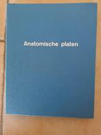 Anatomische platen, Ophalen of Verzenden, Gelezen, Hoger Onderwijs