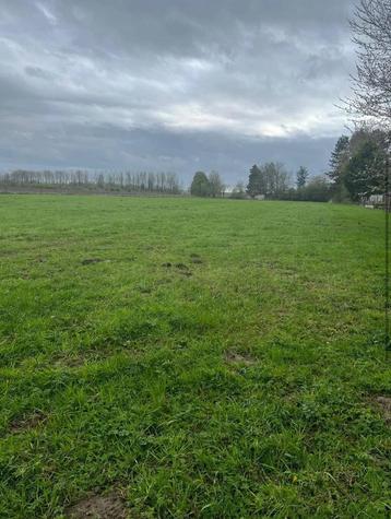 Praire et boxes à louer pour chevaux beschikbaar voor biedingen