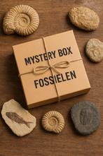 Boîte mystérieuse sur les fossiles ! VALEUR : 150€, Enlèvement ou Envoi