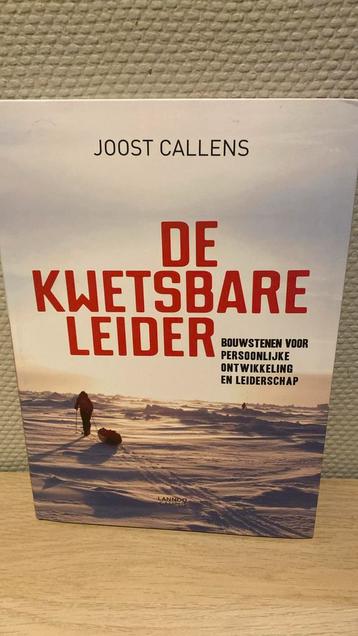 De kwetsbare leider disponible aux enchères