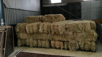 hooi voor paarden kleine boten droog hooi pakjes hooi beschikbaar voor biedingen