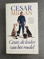 Cesar, de leider van het roedel - Cesar Millan, Ophalen, Zo goed als nieuw, Honden