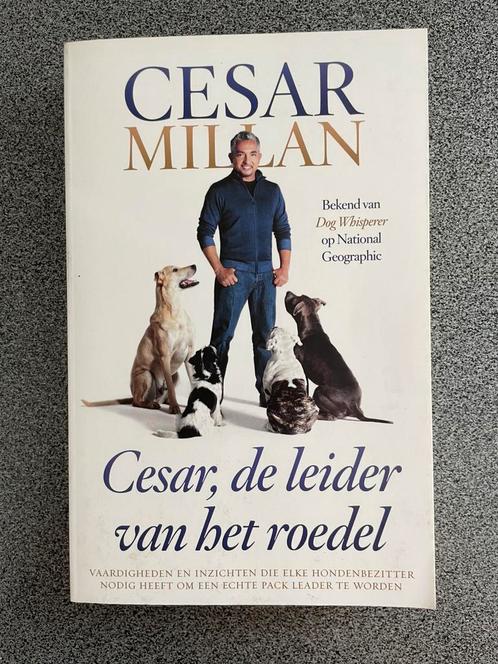 Cesar, de leider van het roedel - Cesar Millan, Boeken, Dieren en Huisdieren, Zo goed als nieuw, Honden, Ophalen