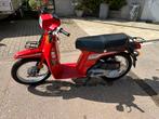 Honda scoopy sh50, Comme neuf, 50 cm³, Classe B (45 km/h), Enlèvement ou Envoi